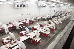 南陽日報多媒體數(shù)字報刊平臺,南陽日報多媒體數(shù)字報刊平臺,南陽,南陽日報,南陽網,南陽社區(qū)